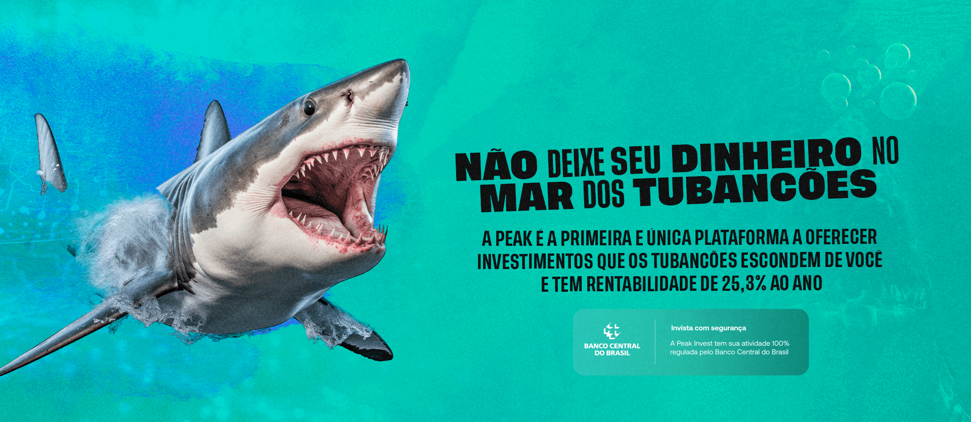 Peak Invest - Inovação Financeira para impulsionar seu negócio 2