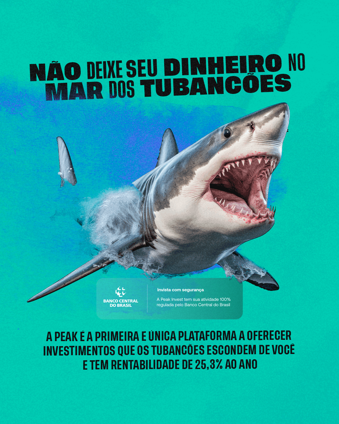 Peak Invest - Inovação Financeira para impulsionar seu negócio 5